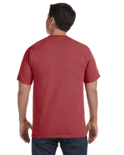 Sample of Comfort Colors C1717 - Adult Heavyweight RS T-Shirt in BRICK from side back