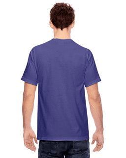 Sample of Comfort Colors C1717 - Adult Heavyweight RS T-Shirt in GRAPE from side back