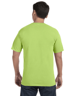 Sample of Comfort Colors C1717 - Adult Heavyweight RS T-Shirt in KIWI from side back