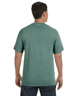 Sample of Comfort Colors C1717 - Adult Heavyweight RS T-Shirt in LIGHT GREEN from side back