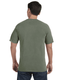 Sample of Comfort Colors C1717 - Adult Heavyweight RS T-Shirt in SAGE from side back