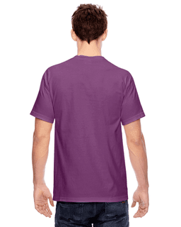 Sample of Comfort Colors C1717 - Adult Heavyweight RS T-Shirt in VINEYARD from side back