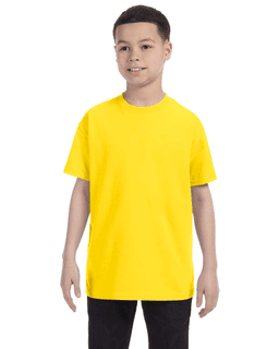 Sample of Gildan G500B - Youth 5.3 oz. T-Shirt in DAISY from side front