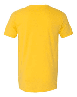 Sample of SoftStyle T-Shirt in Daisy from side back