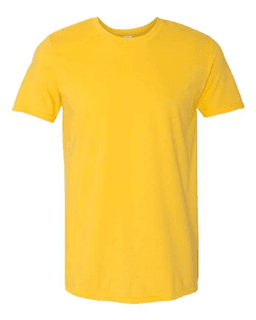 Sample of SoftStyle T-Shirt in Daisy from side front