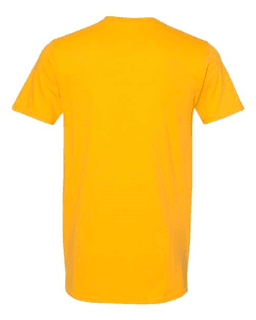 Sample of SoftStyle T-Shirt in Gold from side back