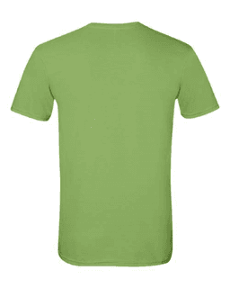 Sample of SoftStyle T-Shirt in Kiwi from side back