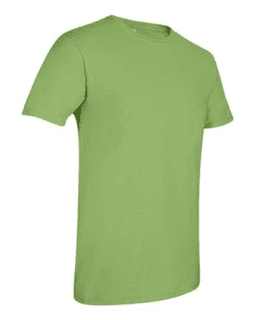 Sample of SoftStyle T-Shirt in Kiwi from side sleeveright