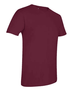 Sample of SoftStyle T-Shirt in Maroon from side sleeveright