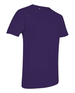 Sample of SoftStyle T-Shirt in Purple from side sleeveright