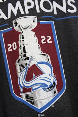 Detail image of Colorado Avalanche Stanley Cup Tee project showing awesome details